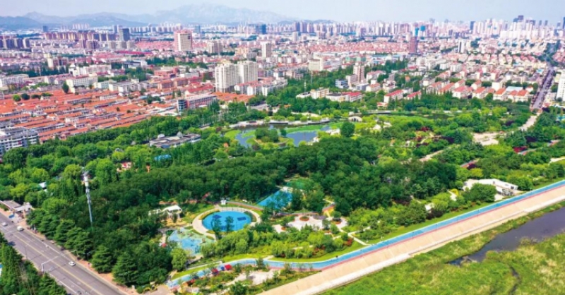 黃發(fā)集團榮獲新區(qū)2023年度城市更新和城市建設(shè)工作先進單位